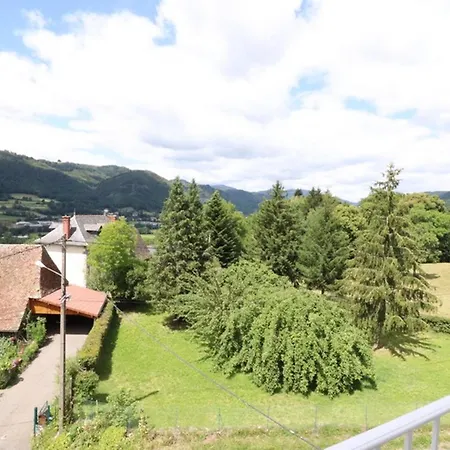 Maison En Pierre Au Coeur Du Cantal Avec Jardin Et Parking Prive - Fr-1-742-491 Holiday home